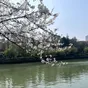 【春】京杭大运河畔