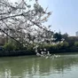 【春】京杭大运河畔
