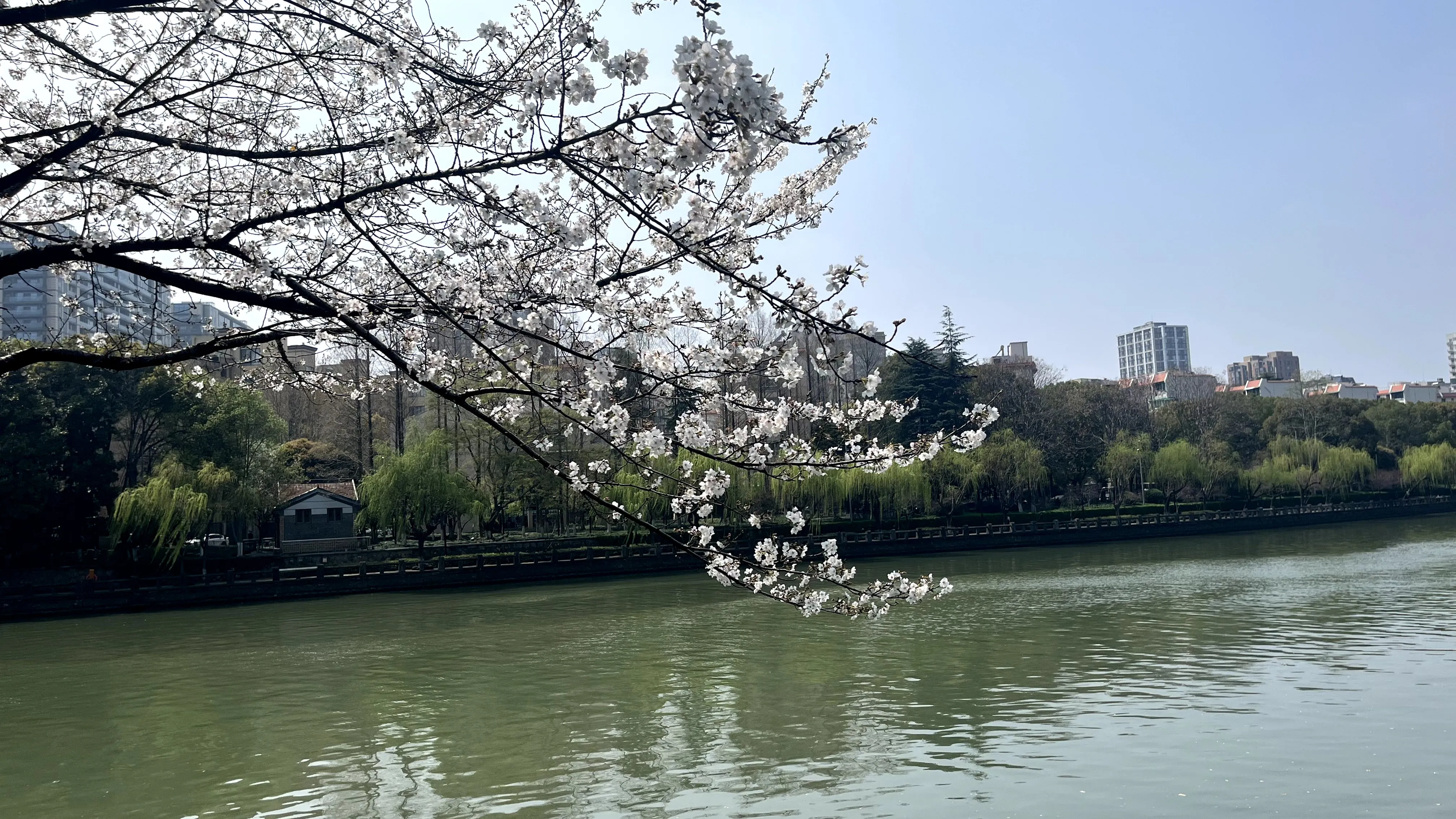 img-20260327154949269